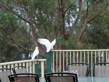 Blue Gum Cottage on Bay