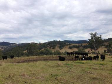 Bobby's Country Rental