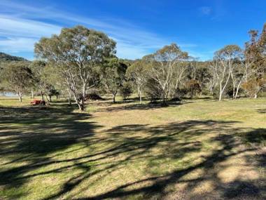 The Burrows of Penrose