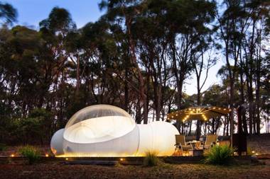 Skyview Bubbletent