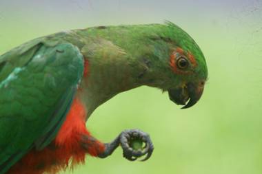 Cosy Romantic Cottage