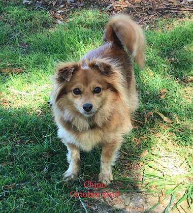 Acacia Hills Retreat