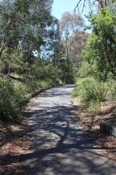 Australian Home Away Ringwood Bardia