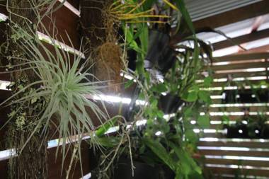 Kookaburra Cottage at Uralba Eco Cottages