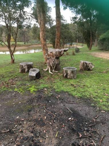 Stephanie’s Country Cottages