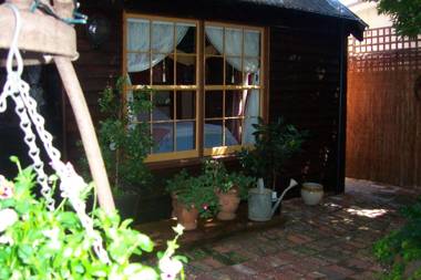 Madam Saddler - On Fraser Clunes