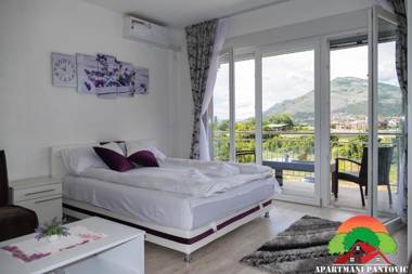 Apartmani Pantovic - Apartman 2
