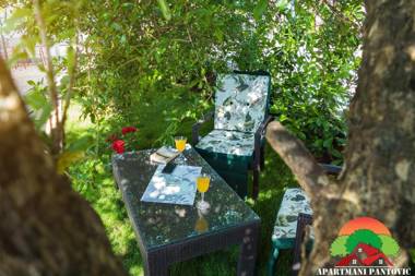 Apartmani Pantovic - Apartman 2