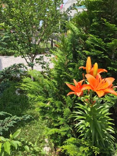 Apartment near the Airport