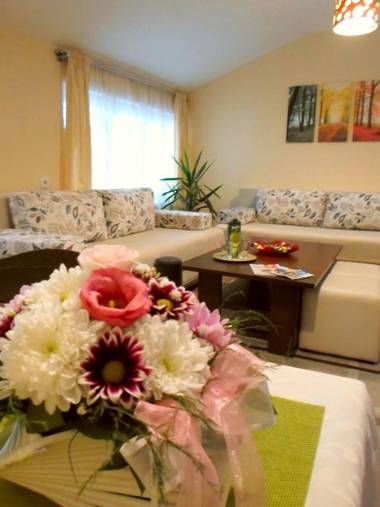 Apartment Mica Old Town