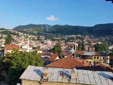 Curovac View