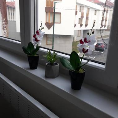 Lovely apartment in Old town 400m from city center Sebilj