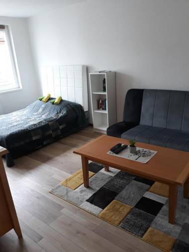 Lovely apartment in Old town 400m from city center Sebilj