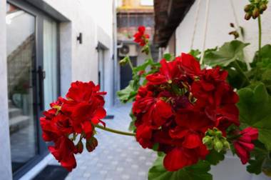 Ferhadija 31 Old town Sarajevo