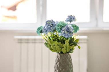 Lovely apartment Omar