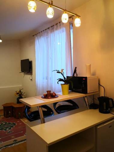 Apartment Bistrik 1