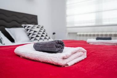 Bright 1BDR Apartment in the City Center