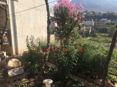 Guest House City Star