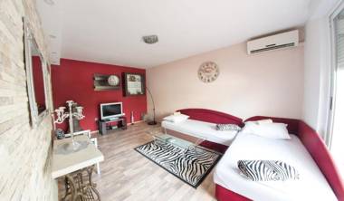 Studio Apartment Zebra