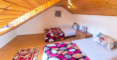 Apartment Tiger Lily