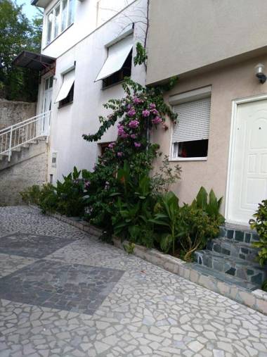 Apartment Beautiful Holiday