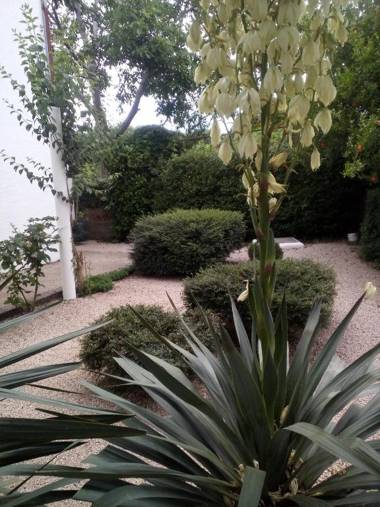 Rooms Nikola Rule Ostojic