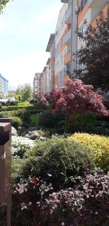 Stan na dan-Apartman Dejana