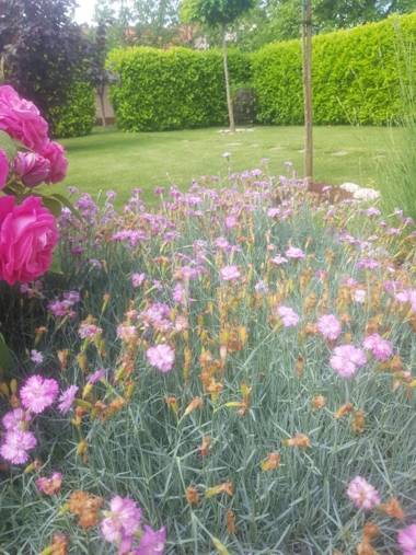 Apartman Corluka Grude