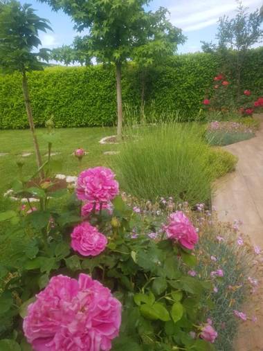 Apartman Corluka Grude