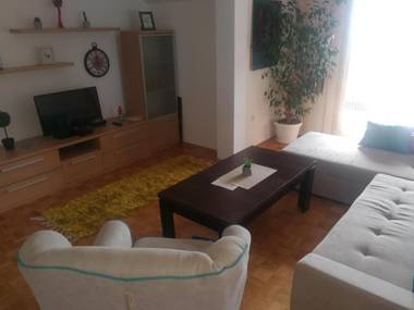 Apartment Nedic