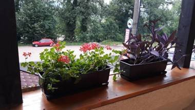 Restoran i sobe "Tocak"