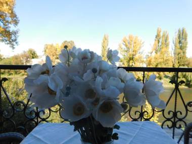 Apartments Villa Kobilj