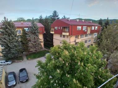 City center Apartment