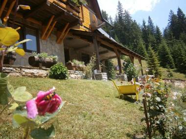 Apartments Vučko Vlašić