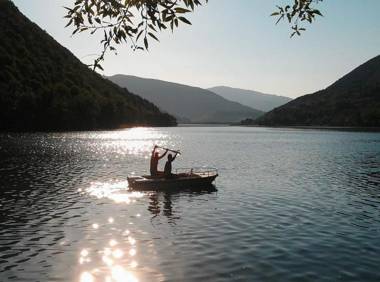 Forest Dream Lake House