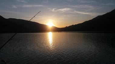 Forest Dream Lake House