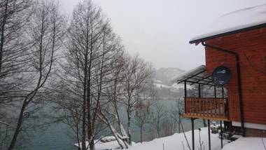 Forest Dream Lake House