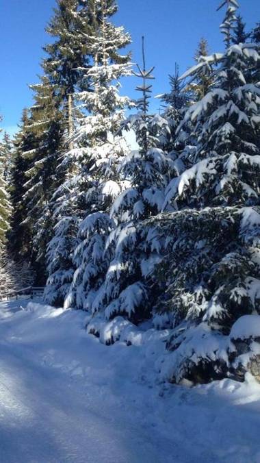 Apartmani Megara Vlasic