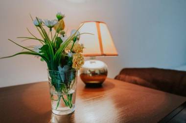 Rooms & Apartment GH Pasha