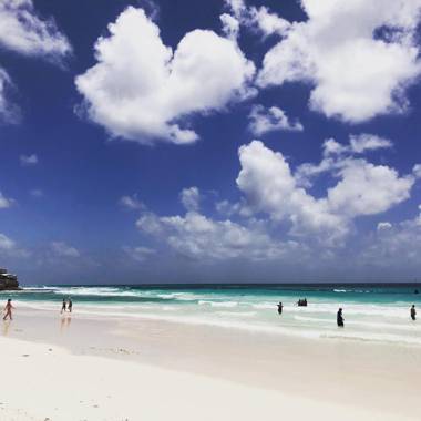 Brownes Condominium 1