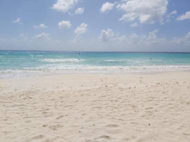 Ocean View Apartments