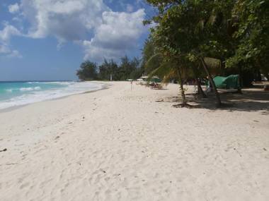 Ocean View Apartments