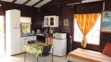 Dolphin Inn Guesthouse & Apartments