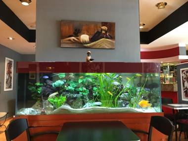 First Euroflat Hotel