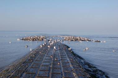 Villa Schildknaap ref 50