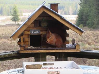 Rustic Chalet ultimate relaxation in the forest