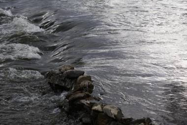 Le gîte de l Ourthe