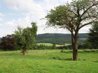 Luxurious spacious villa with sauna located next to a castle