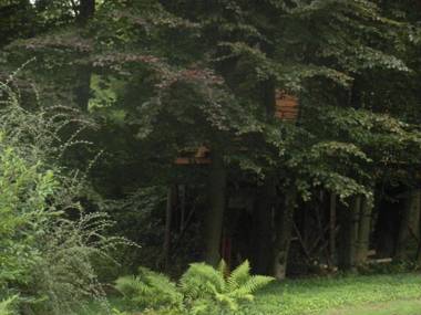 B&B La Cabane du Bois Dormant