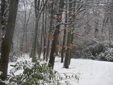 B&B La Cabane du Bois Dormant
